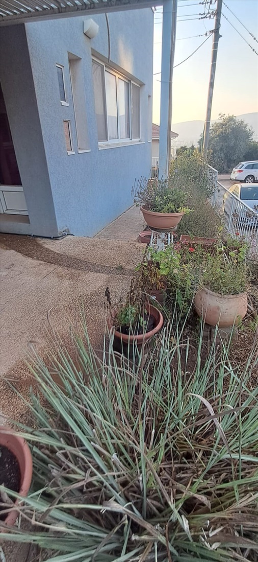תמונה 4 ,בית פרטי 10 חדרים למכירה בישוב אשחר, חרמון, שלב ב