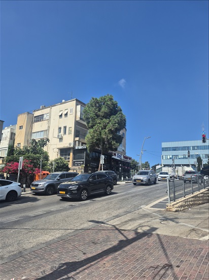 תמונה 7 ,דירה 5 חדרים למכירה בחיפה, שדרות ודג'ווד, מרכז הכרמל