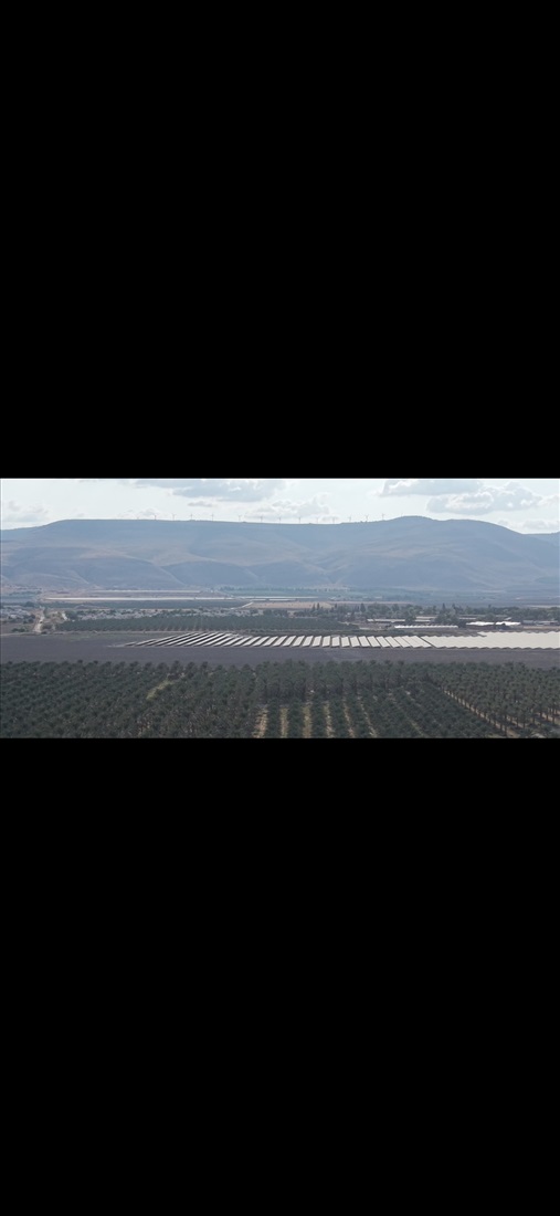 תמונה 1 ,מגרש למגורים 1 חדרים למכירה בבית שאן, קרית רבין, קרית דוד 