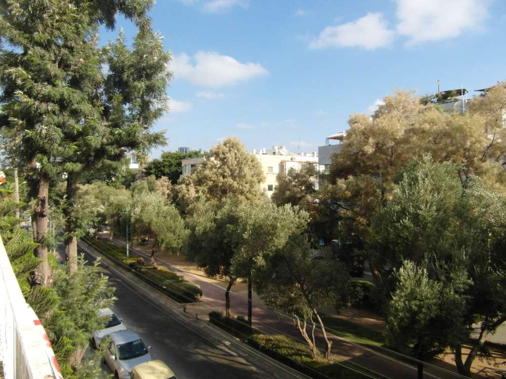 תמונה 1 ,דירה 6 חדרים שדרות בן גוריון לב העיר תל אביב יפו