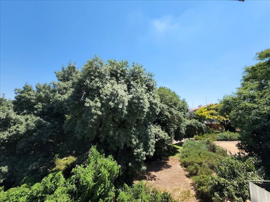 תמונה 2 ,דירה 2.5 חדרים, ירושלים 71 רבין מעלות תרשיחא