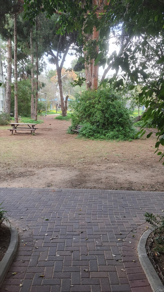 תמונה 7 ,דירה 2.5 חדרים, רפידים מעוז אביב תל אביב יפו