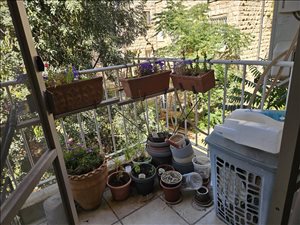 דירה, 2.5 חדרים, בצלאל, ירושלים  
