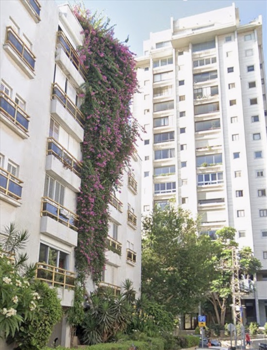 תמונה 1 ,דירה 4 חדרים, קליי אזור ככר המדינה תל אביב יפו