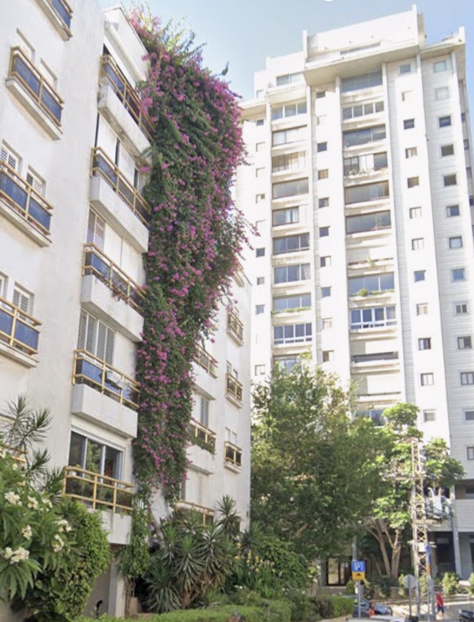 תמונה 1, דירה 4 חדרים, קליי אזור ככר המדינה תל אביב יפו