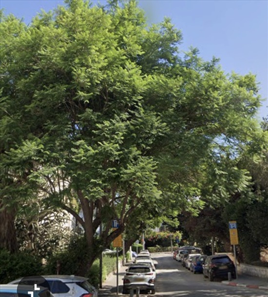 תמונה 3 ,דירה 3 חדרים, יעקוב מוזיר  אזור ככר המדינה תל אביב יפו