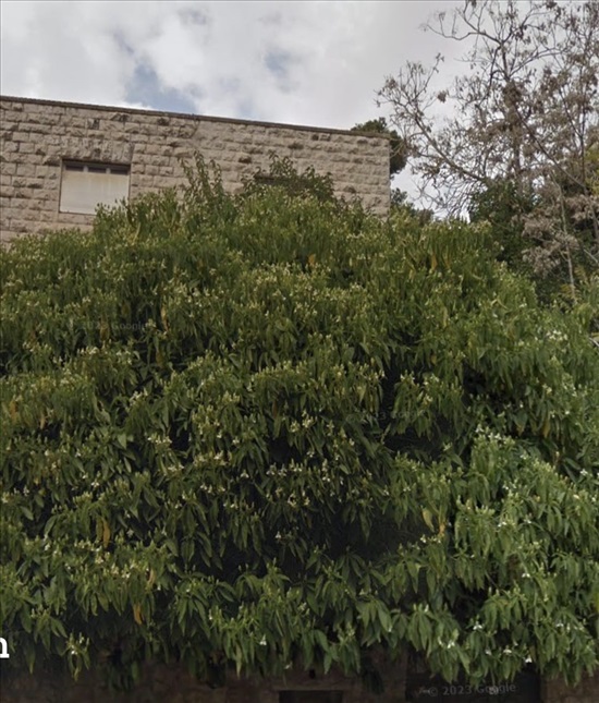 תמונה 1 ,דירה 4 חדרים, בנימין מטודלה רחביה ירושלים