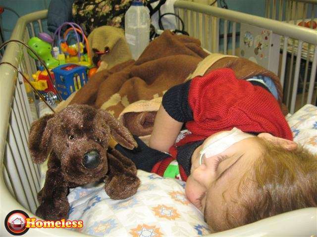 דובוני החלמה מחבקים ילדים בבתי חולים