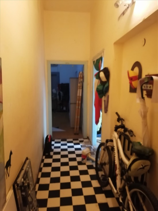 שותף לחיפוש דירה 