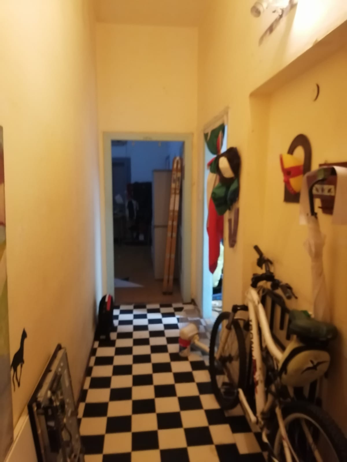 תמונה 1, דורון מחפש/ת שותף לחיפוש דירה