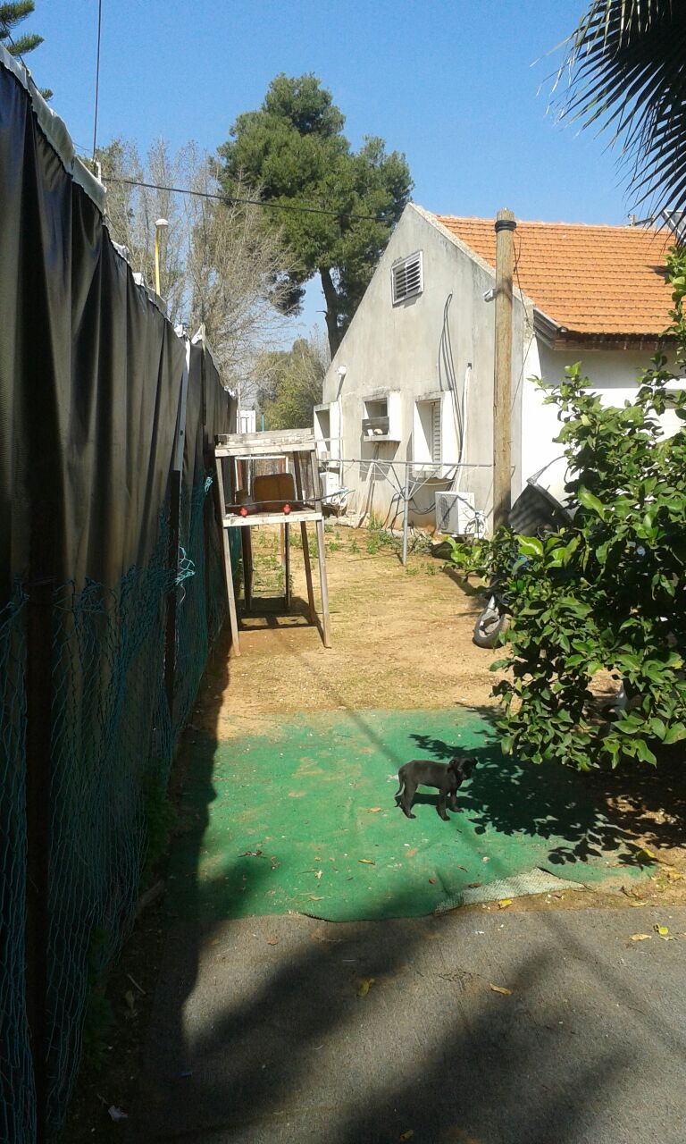 תמונה 2, jhkhe מחפש/ת שותף לחיפוש דירה