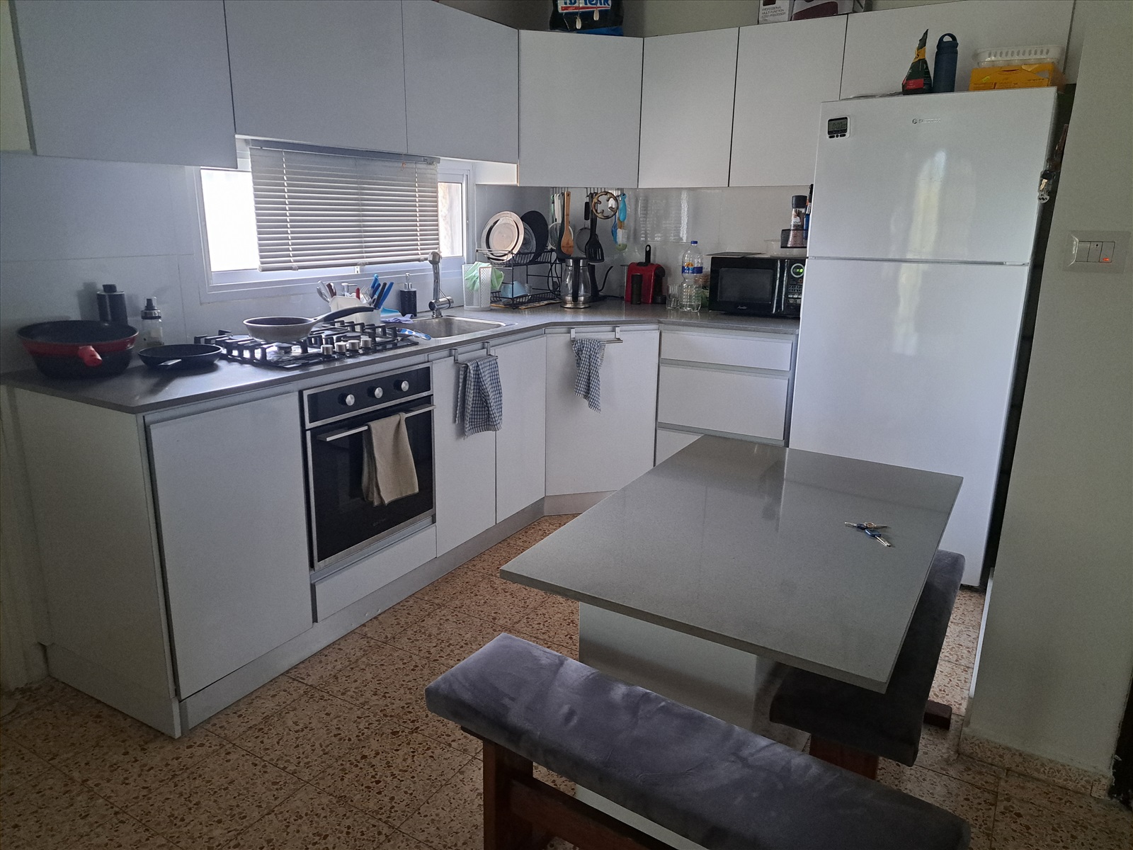 תמונה 2, דאנה (שותפה בדירה) מחפש/ת שותף לחיפוש דירה