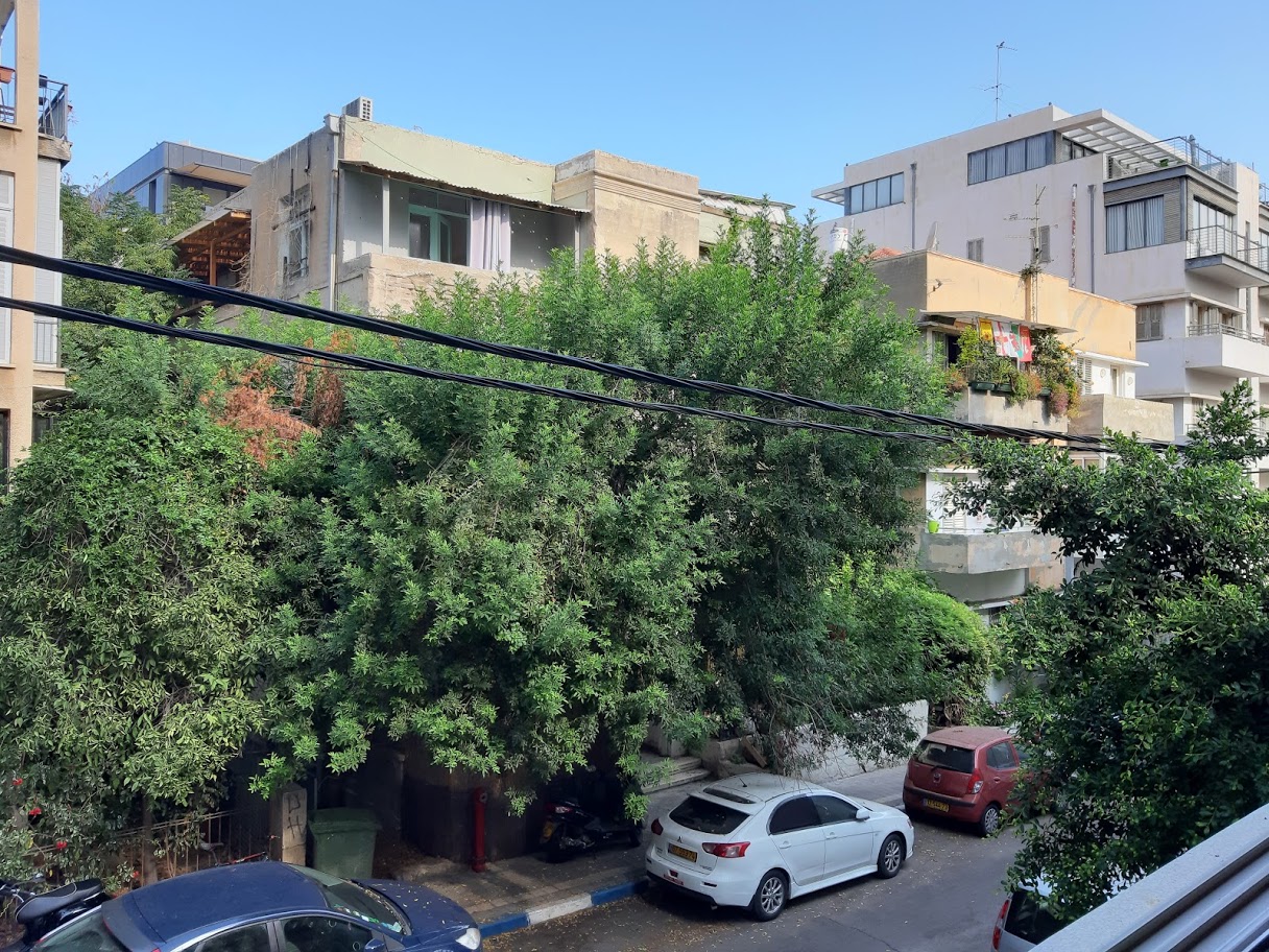 תמונה 2 ,דירה 2 חדרים להשכרה בתל אביב יפו פיארברג לב העיר