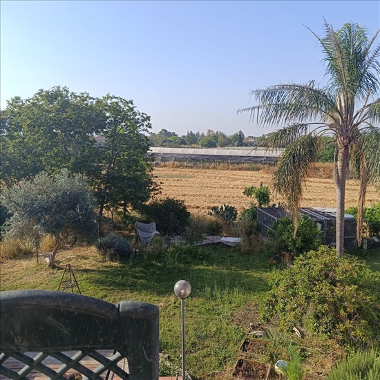תמונה 4 ,וילה 7 חדרים להשכרה במגשימים, התמר, מרכז