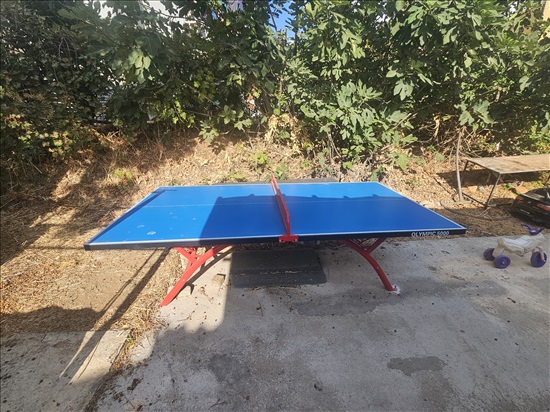 תמונה 5 ,בית פרטי 3.5 חדרים להשכרה בקרית שמונה, דוד שמעוני, ותיקה