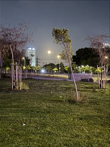 דירה, 3 חדרים, קהילת ורשה, תל אביב יפו  