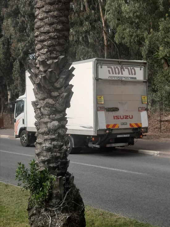 תמונה 3, איסוזו סומו יד 3 2008 | 390000 קמ