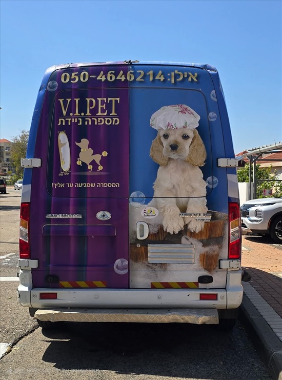 תמונה 3, מקסוס V80 יד 1 2019 | 90000 קמ