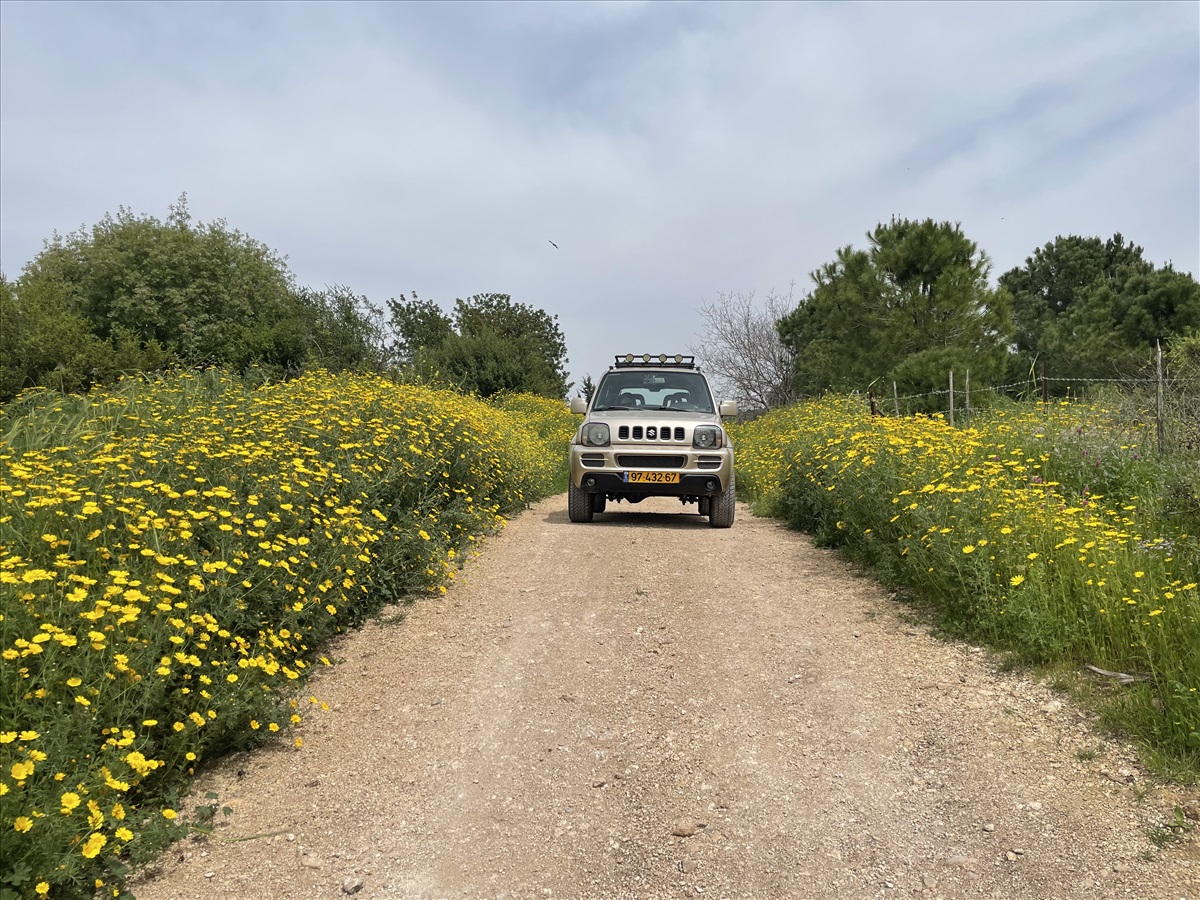 תמונה 1, סוזוקי ג`ימני יד 3 2008 | 175000 קמ