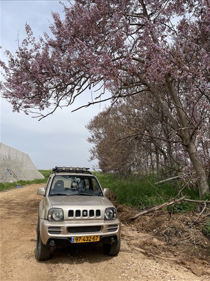 תמונה 2, סוזוקי ג`ימני יד 3 2008 | 175000 קמ