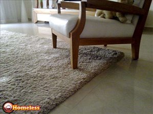 ריהוט שטיחים 24 