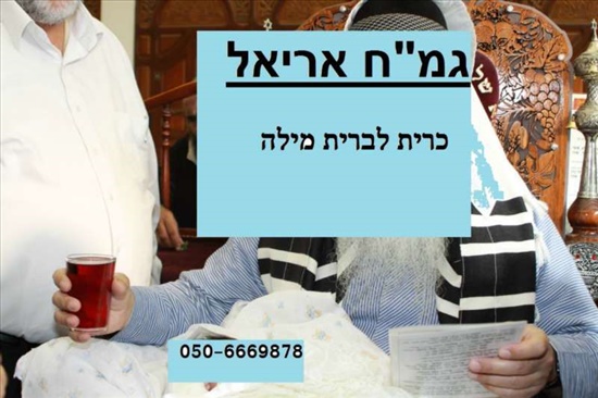 כרית לברית מילה