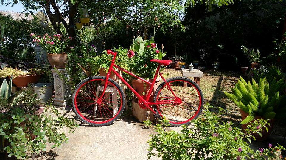 תמונה 1 ,אופניים למכירה בטבריה אופניים  אופני ילדים