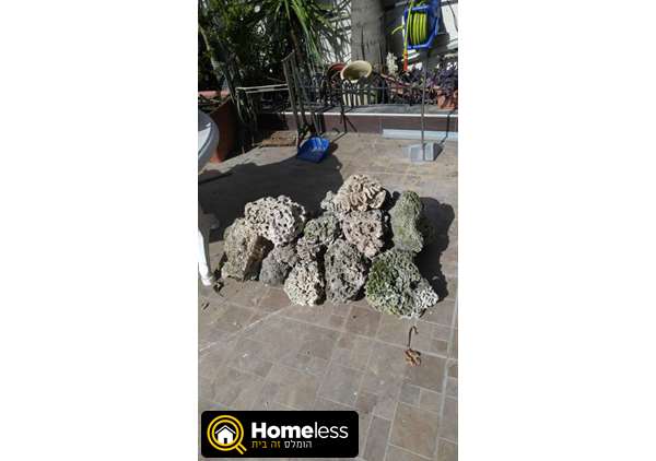 תמונה 1 ,סלעים לאקווריום עם מים מלוחים למכירה באזור שונות  שונות