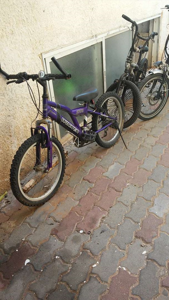 אופני winer