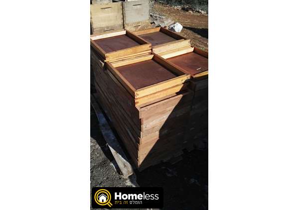 תמונה 3 ,כוורת דבורים למכירה בחוסנייה שונות  שונות