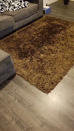 ריהוט שטיחים 1 