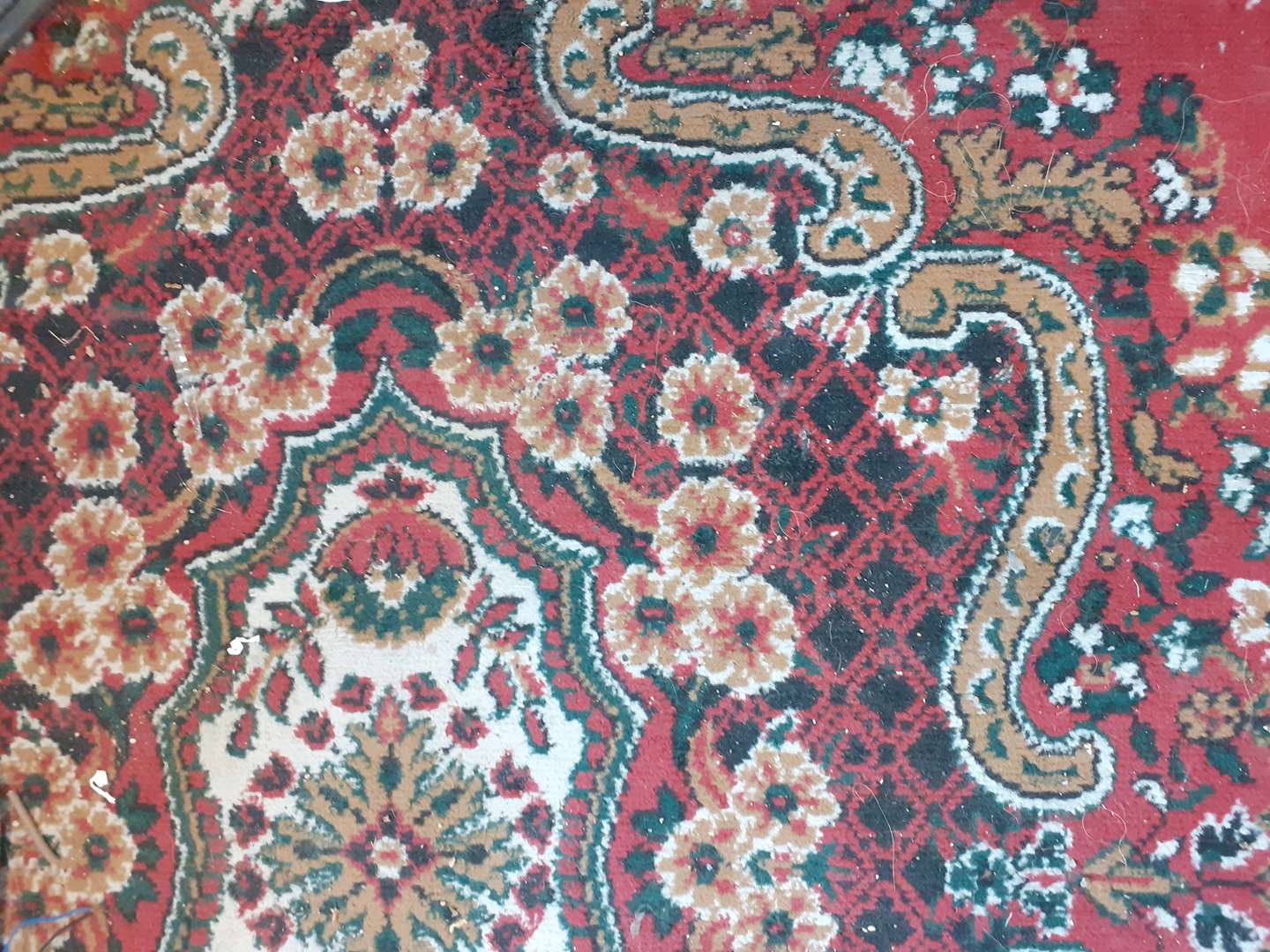 תמונה 1 ,שטיח  למכירה באילת אספנות  ענתיקות