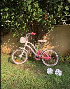 אופניים אופני ילדים 10 