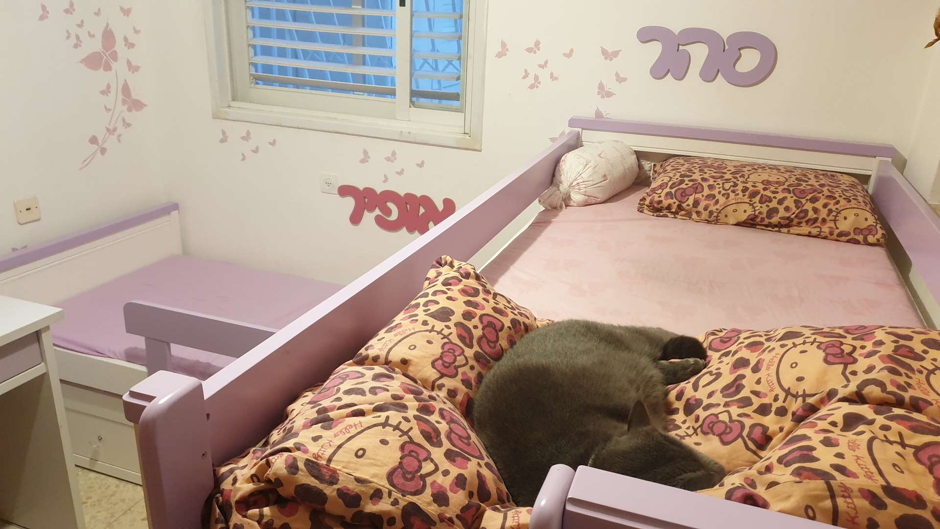 תמונה 2 ,מיטת קומותיים למכירה בתל אביב ריהוט  ריהוט לחדרי ילדים
