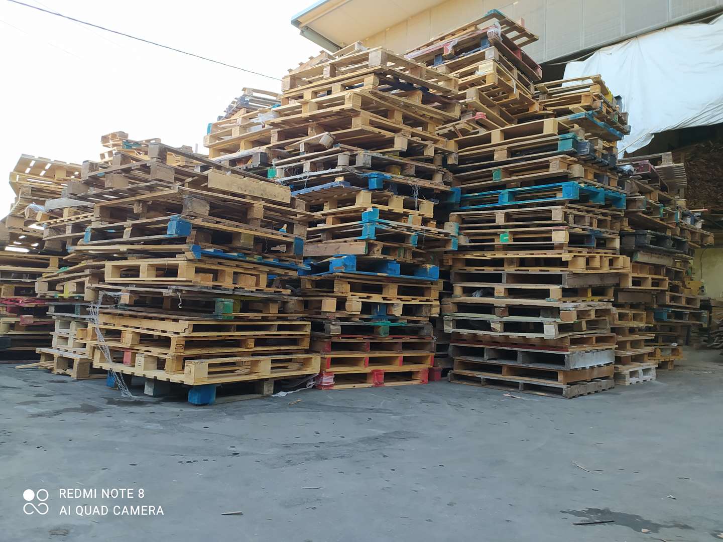 תמונה 1 ,עץ למכירה בחברון ציוד לתעשייה  ציוד כללי לתעשייה