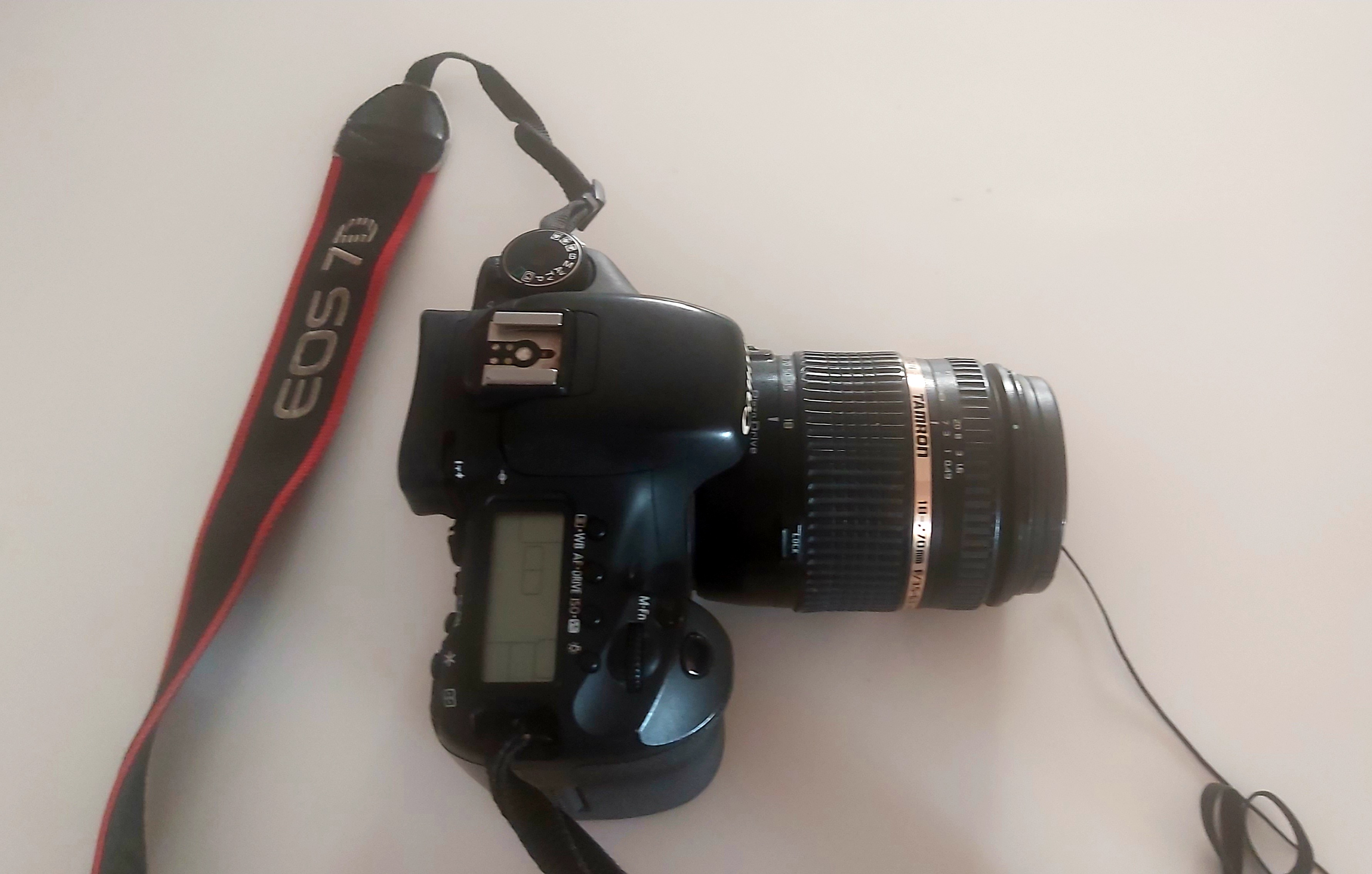 תמונה 2 ,canon EOS 7D למכירה בהרצליה צילום  מצלמה רפלקס דיגיטלית