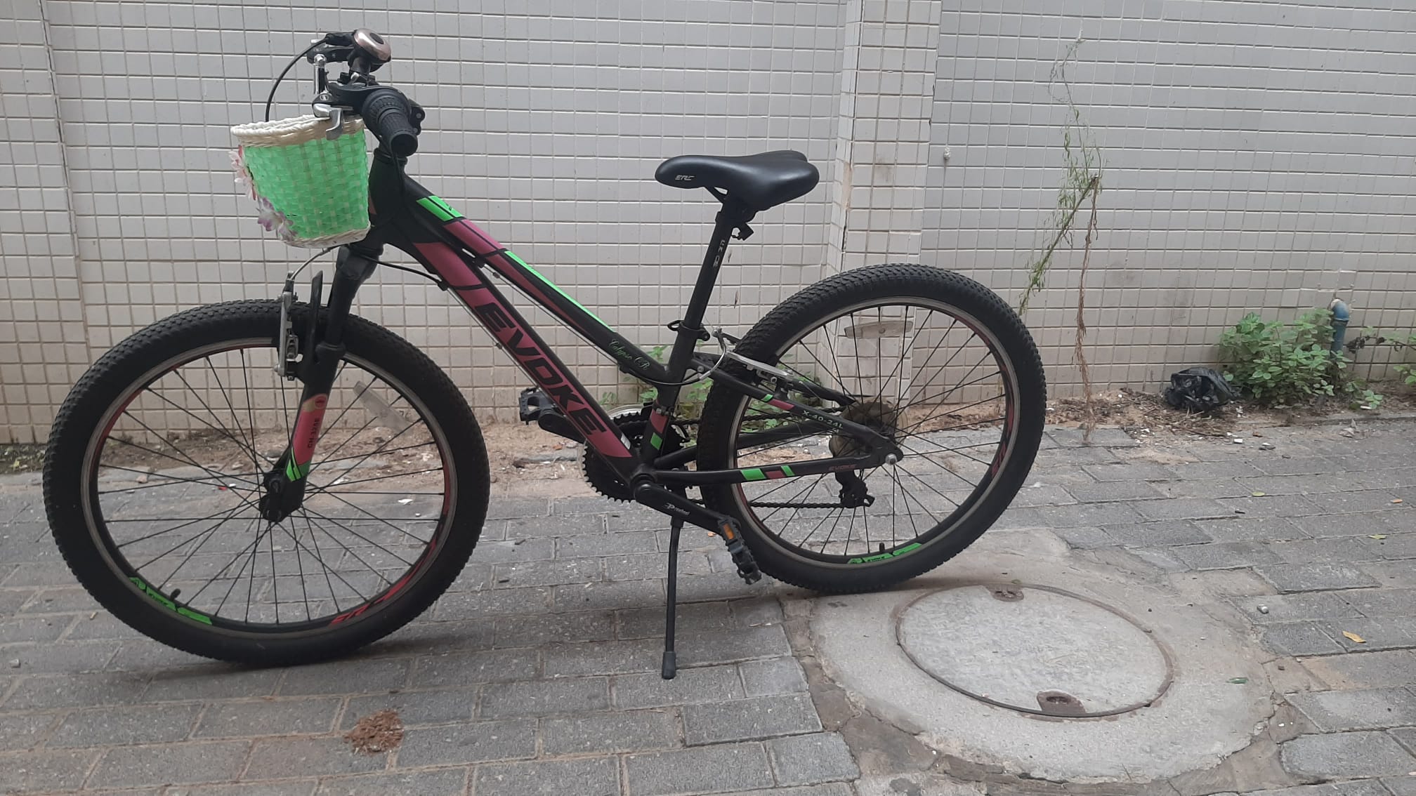 stay tuition fee Australian person Evoke X-40 24" Girls למכירה בתל אביב 600 שח | אופניים - אופני ילדים | לוח יד  שניה הומלס