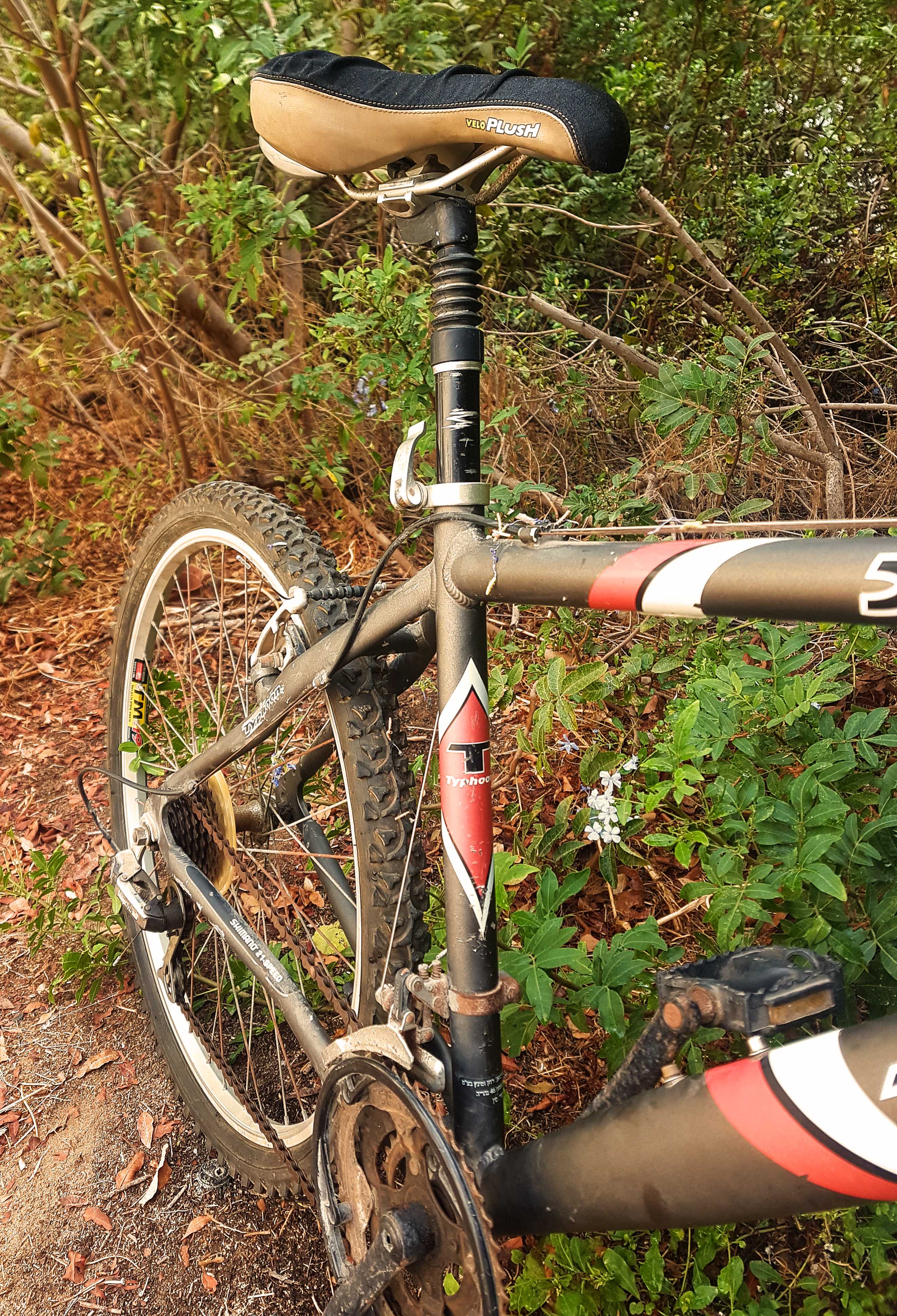 תמונה 3 ,TYPHOON XL PRO למכירה בנתניה אופניים  הרים זנב קשיח