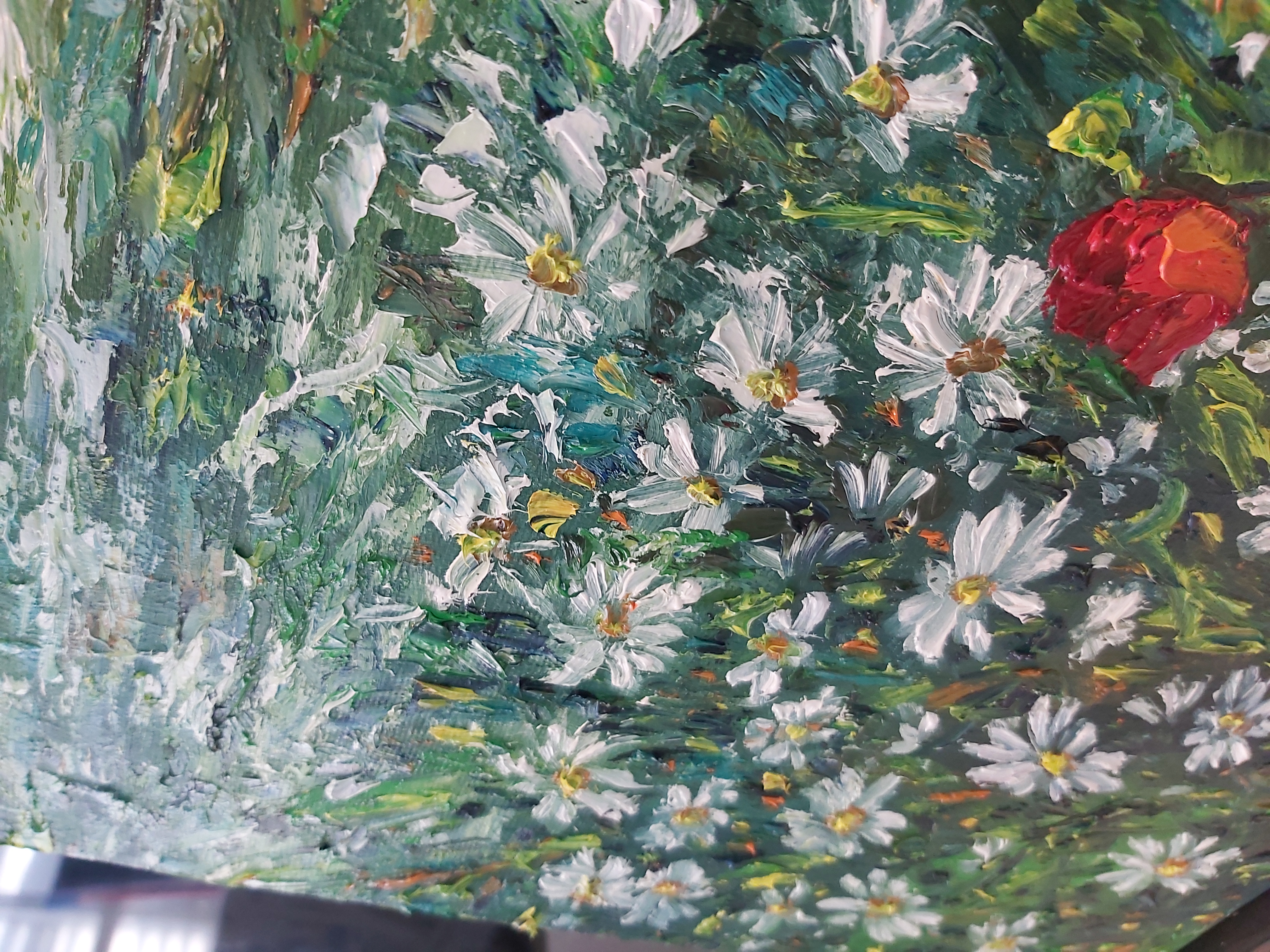 תמונה 7 ,שדה של חינניות.שמן על קנבס. למכירה בנתניה אומנות  ציור