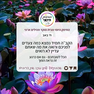 פורים - Ryh <br>       