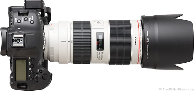 תמונה 2 ,Canon 6D and 70 200mm 2.8 USM  למכירה בבת ים צילום  מצלמה דיגיטלית