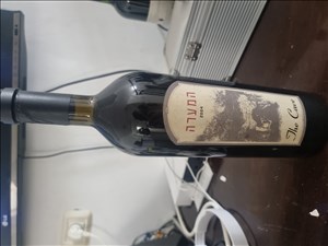 אספנות יינות 29 