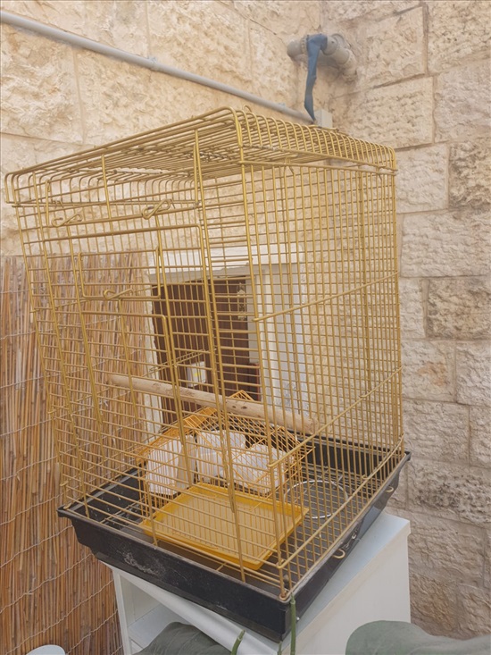 תמונה 4 ,2 כלובים לתוכים למכירה ברמת רחל שונות  שונות