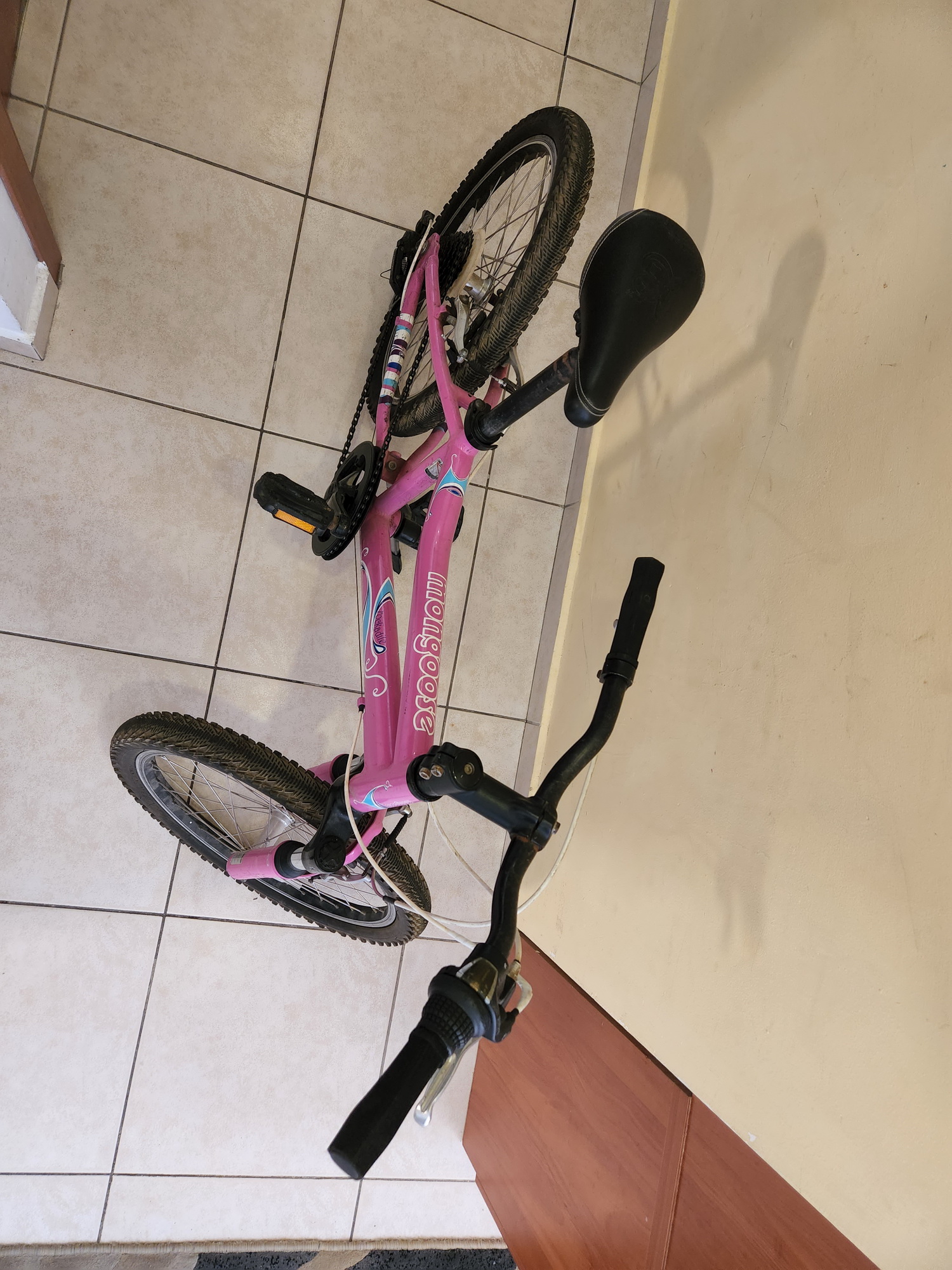 תמונה 2 ,ביאנה למכירה בתל אביב יפו אופניים  אופני הרים