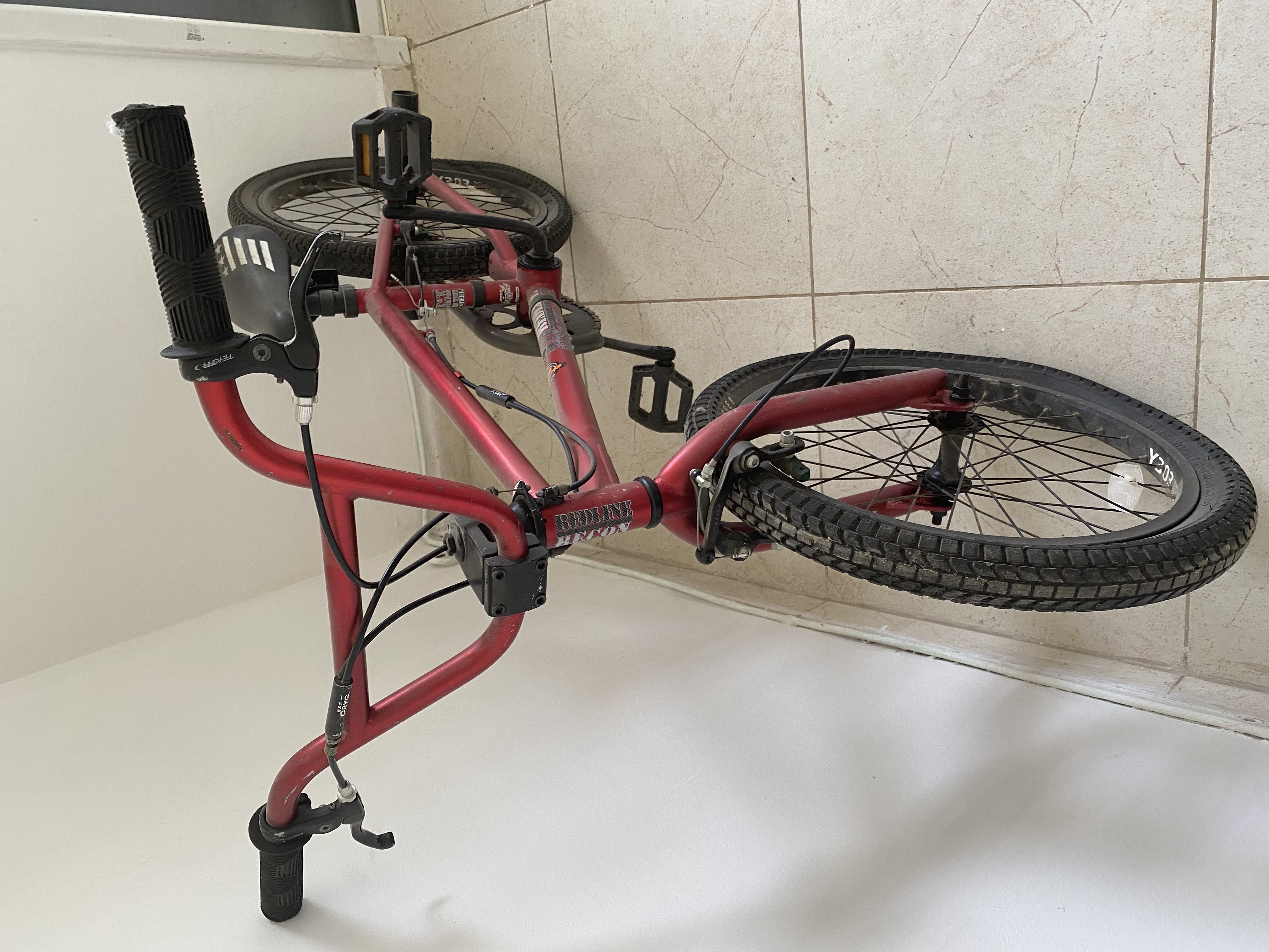 תמונה 1 ,אופני פעלולים למכירה באריאל אופניים  אופני פעלולים/BMX