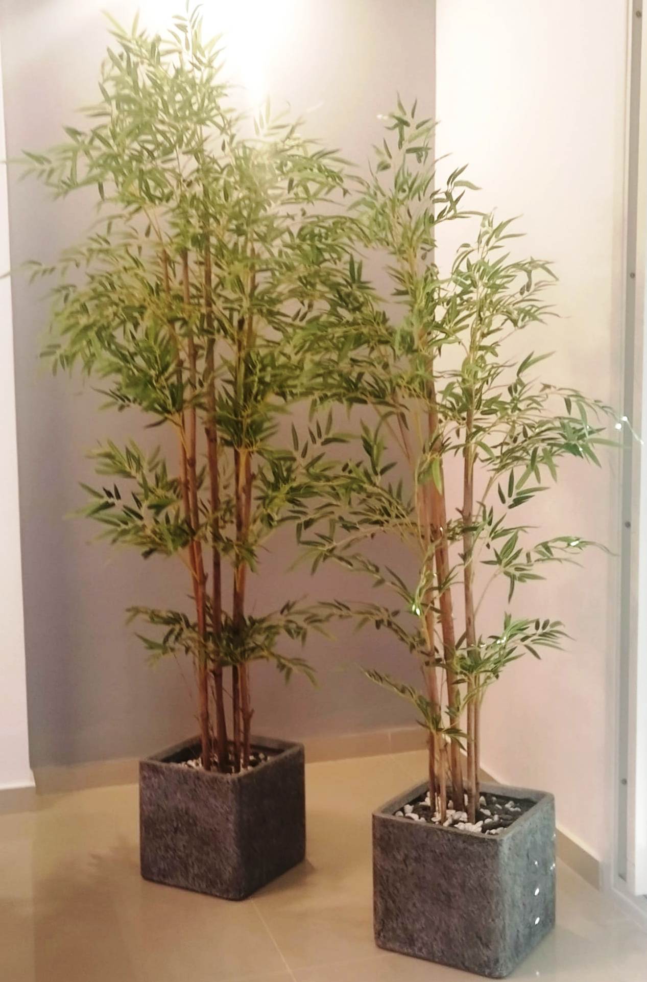 תמונה 1 ,שני עציצים מלאכותים למכירה בחיפה חפצי נוי  עציצים