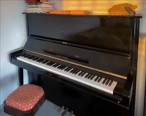 כלי נגינה פסנתר 12 