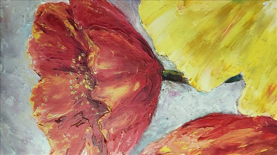 תמונה 4 ,ציור פרחי פרגים .שמן על קנבס למכירה בנתניה אומנות  ציור