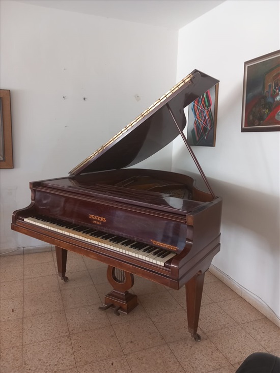 תמונה 4 ,פסנתר כנף תוצרת Pleyel למכירה בתל אביב כלי נגינה  פסנתר