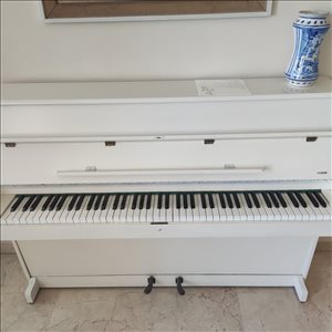 כלי נגינה פסנתר 25 